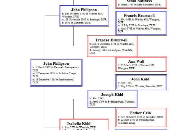 Family History Tree Showing Links